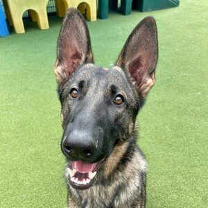 Meet your Posher, Paul